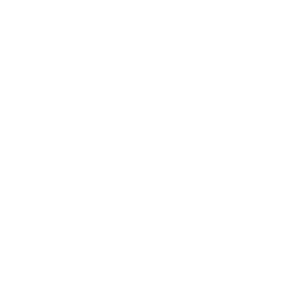 btm book logo 10